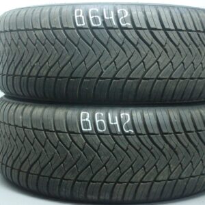 2x Allwetterreifen Triangle SeasonX TA 01 195/65 R16 91V Dot4524 Demo 8,5mm B642