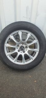 358320758469 gallery E9mGMr