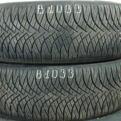 2x 205/55 R17 95V Ganzjahresreifen Goodride A S EliteZ401 5-5,5mm Dot0225 B1033